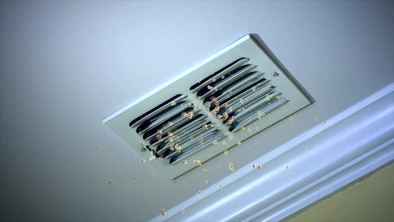 Home Air Vent Cleaning in Milam, TX