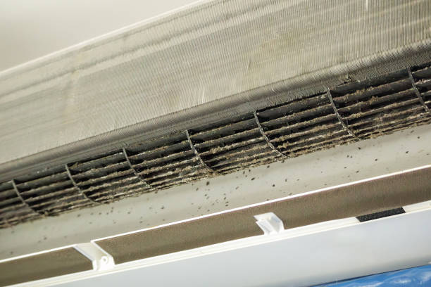 Best Air Duct Cleaning Near Me  in Milam, TX